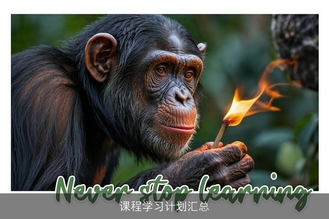 课程学习计划汇总