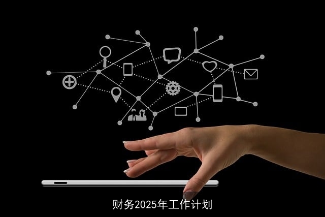 财务2025年工作计划