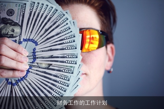 财务工作的工作计划