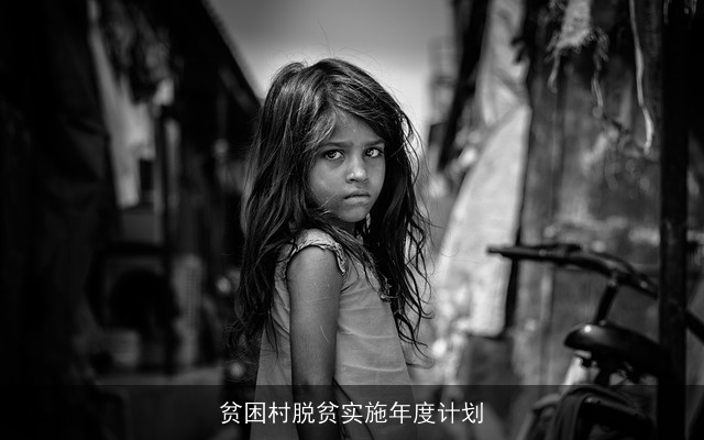 贫困村脱贫实施年度计划