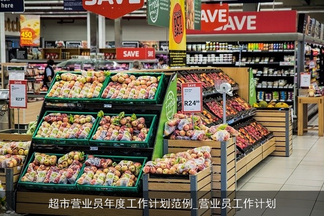超市营业员年度工作计划范例_营业员工作计划