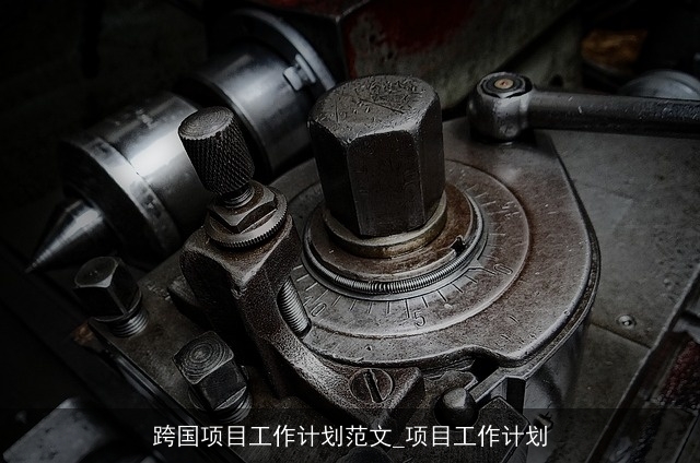 跨国项目工作计划范文_项目工作计划