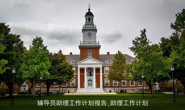 辅导员助理工作计划报告_助理工作计划
