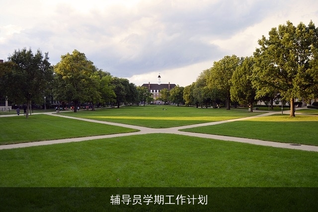 辅导员学期工作计划