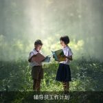 辅导员工作计划