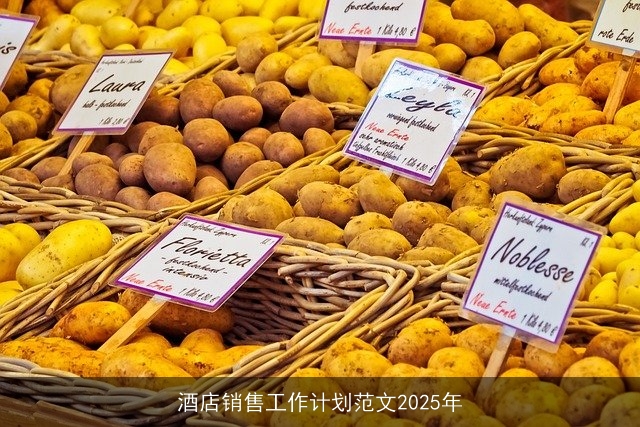 酒店销售工作计划范文2025年