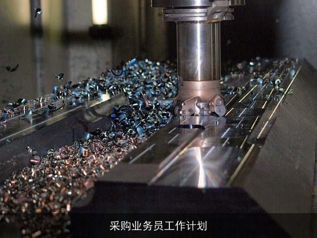 采购业务员工作计划