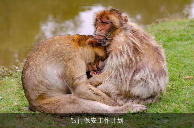 银行保安工作计划