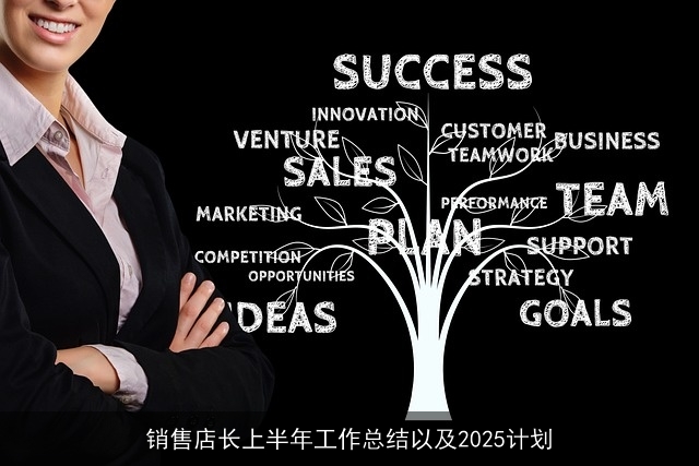 销售店长上半年工作总结以及2025计划