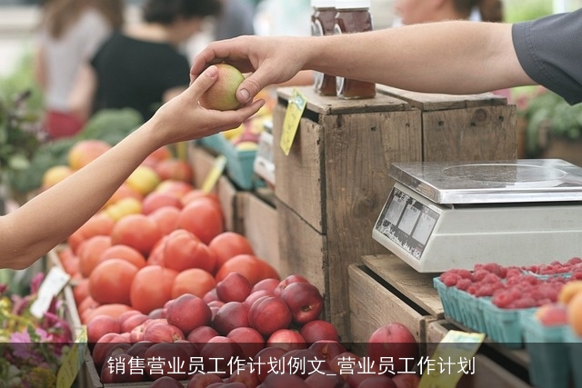 销售营业员工作计划例文_营业员工作计划