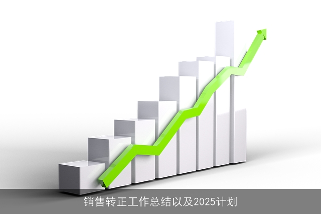 销售转正工作总结以及2025计划