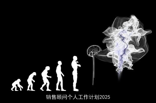 销售顾问个人工作计划2025