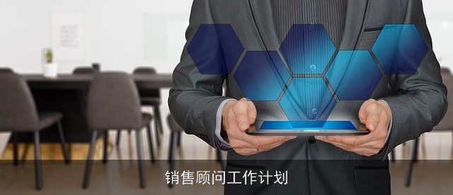 销售顾问工作计划