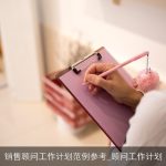 销售顾问工作计划范例参考_顾问工作计划