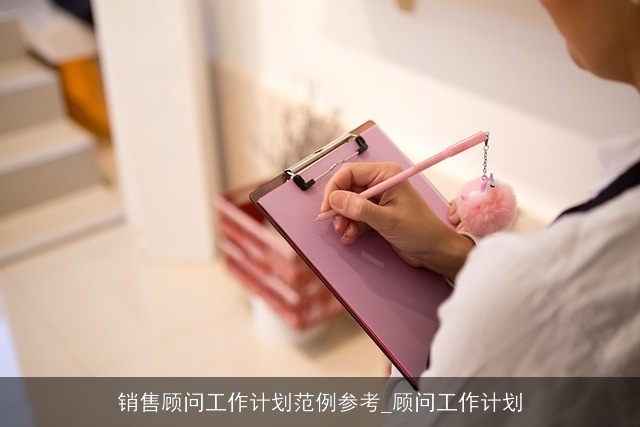 销售顾问工作计划范例参考_顾问工作计划