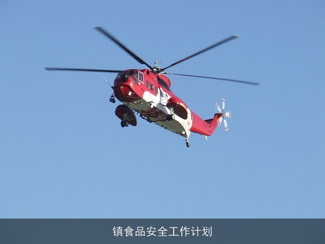 镇食品安全工作计划