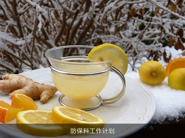 防保科工作计划