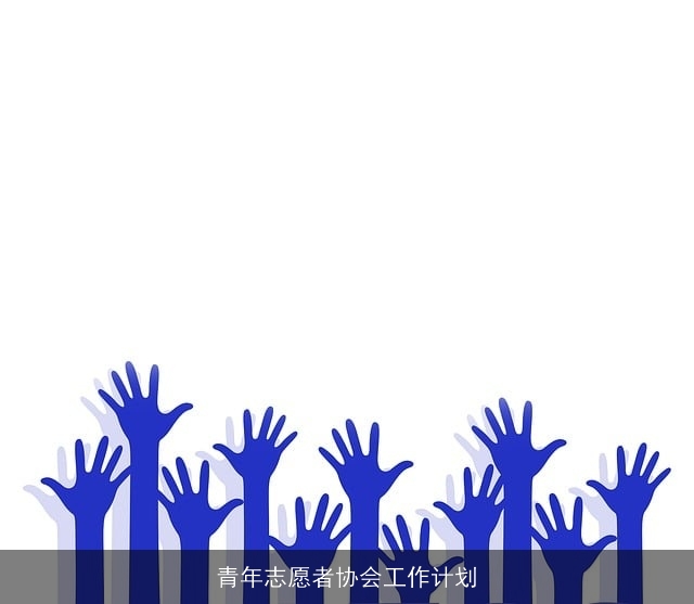 青年志愿者协会工作计划