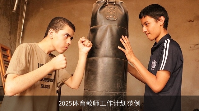 2025体育教师工作计划范例