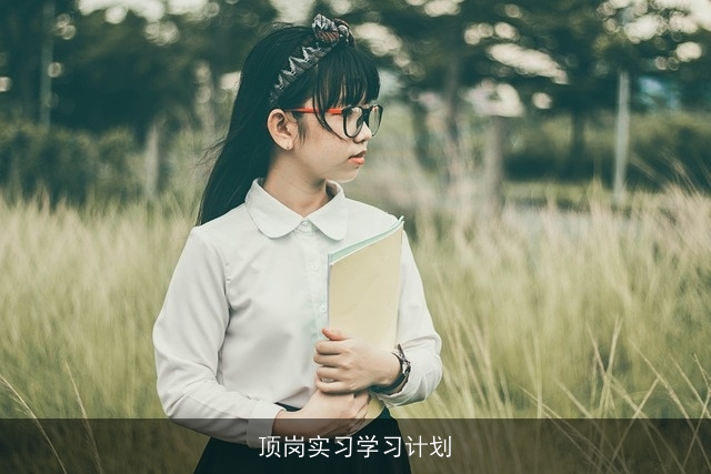 顶岗实习学习计划