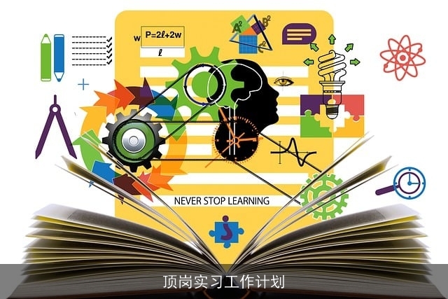 顶岗实习工作计划