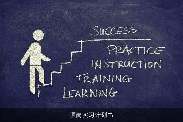 顶岗实习计划书