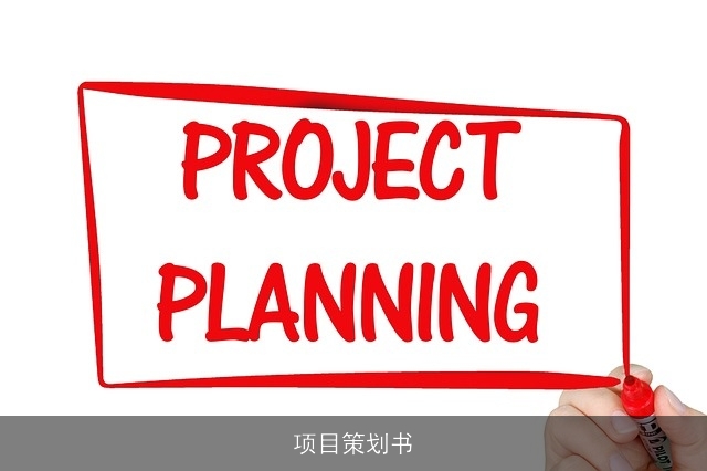 项目策划书