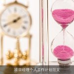 项目经理个人工作计划范文