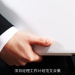 项目经理工作计划范文合集