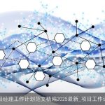 项目经理工作计划范文精编2025最新_项目工作计划