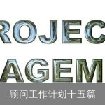 顾问工作计划十五篇