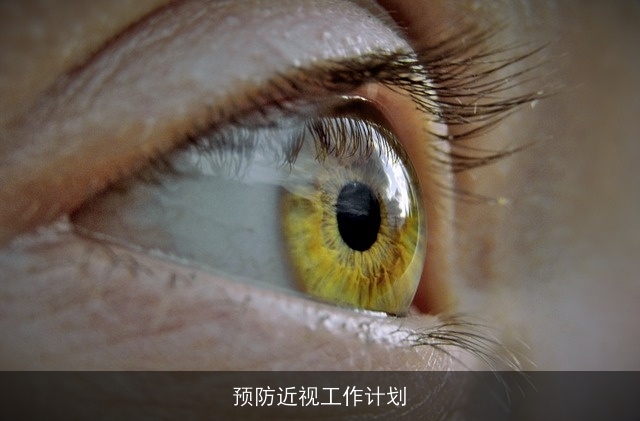 预防近视工作计划