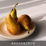 食品安全年度工作计划