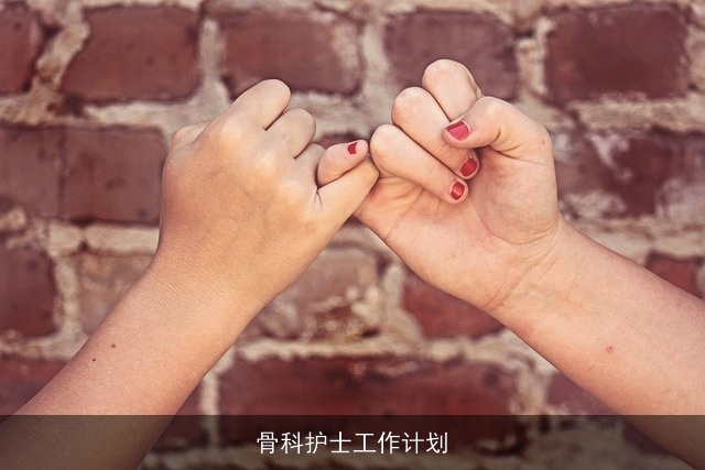 骨科护士工作计划