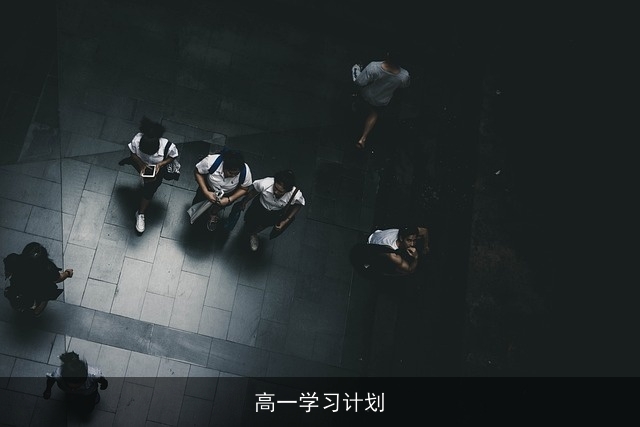 高一学习计划
