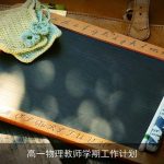高一物理教师学期工作计划