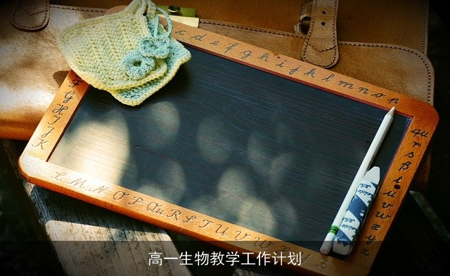 高一生物教学工作计划