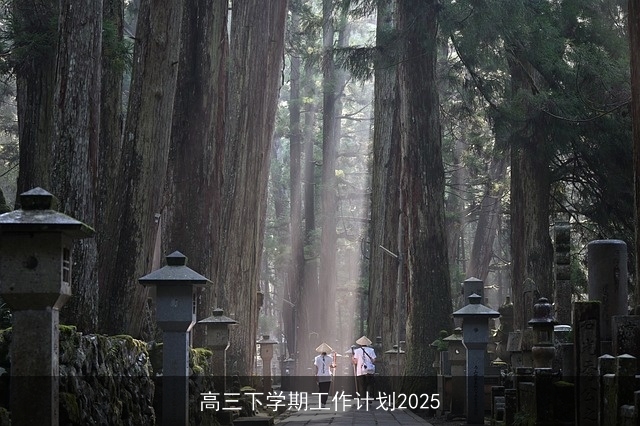 高三下学期工作计划2025