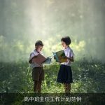 高中班主任工作计划范例