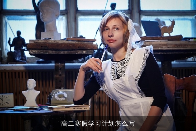 高二寒假学习计划怎么写