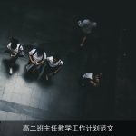 高二班主任教学工作计划范文