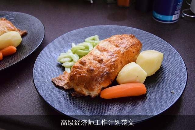 高级经济师工作计划范文