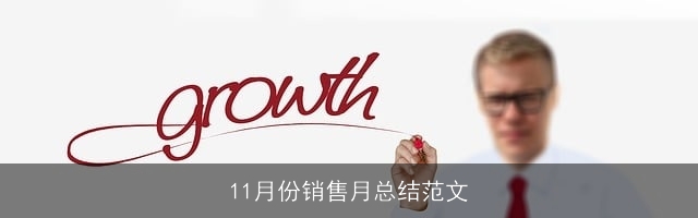 11月份销售月总结范文