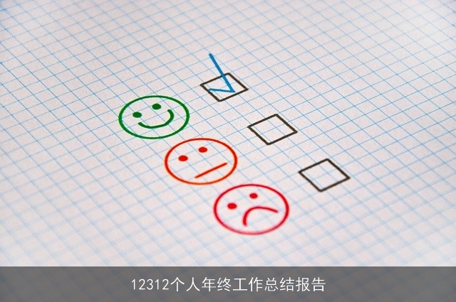 12312个人年终工作总结报告