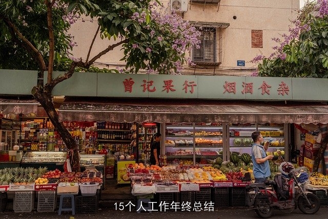 15个人工作年终总结