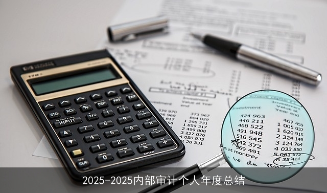 2025-2025内部审计个人年度总结