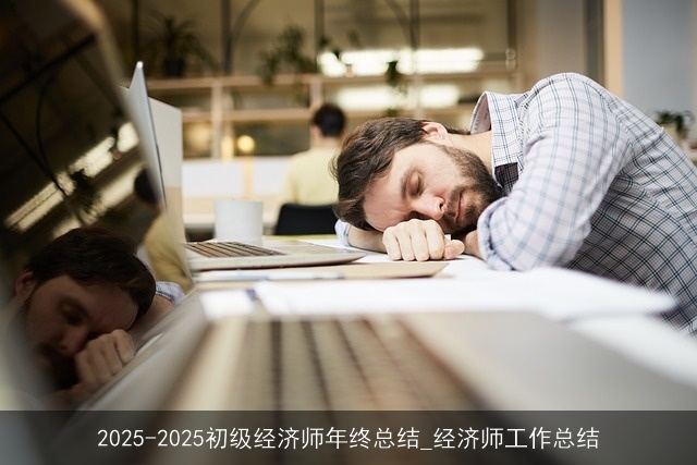 2025-2025初级经济师年终总结_经济师工作总结