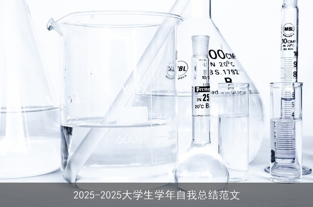 2025-2025大学生学年自我总结范文
