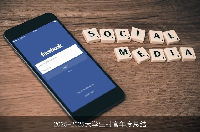 2025-2025大学生村官年度总结