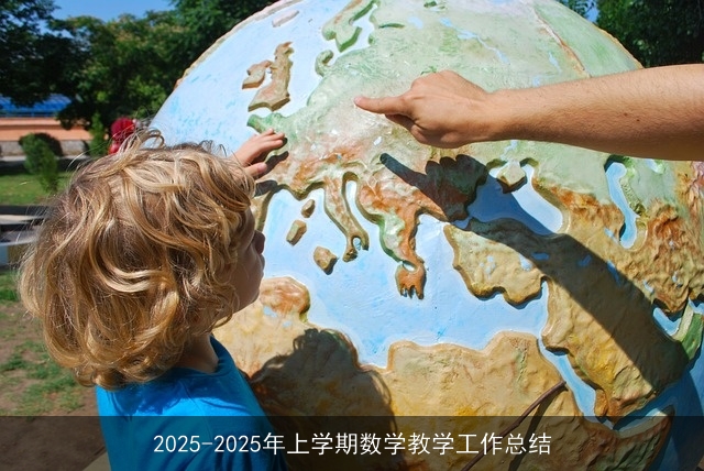 2025-2025年上学期数学教学工作总结